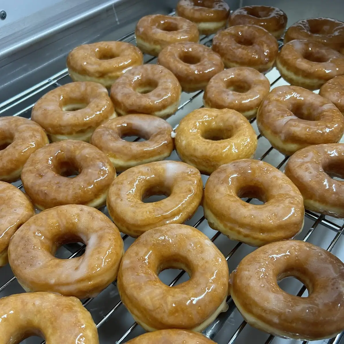 Doughnut