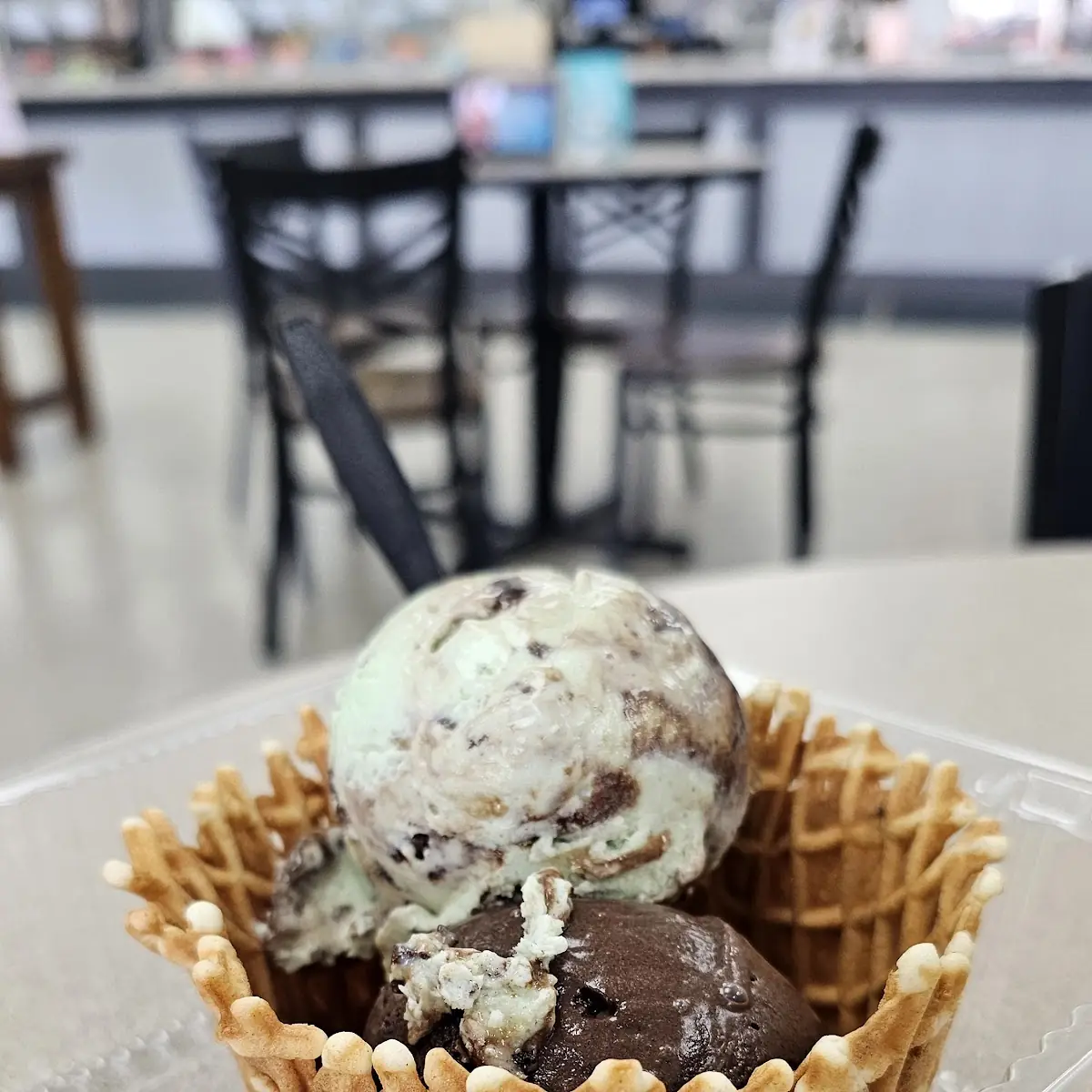 Chocolate Mint and Chocolate Ice Cream