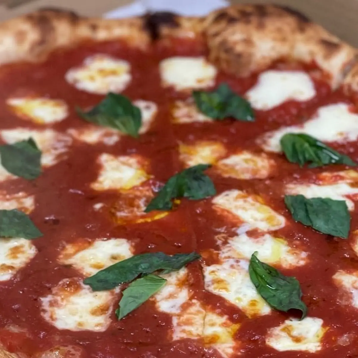Margherita Pizza
