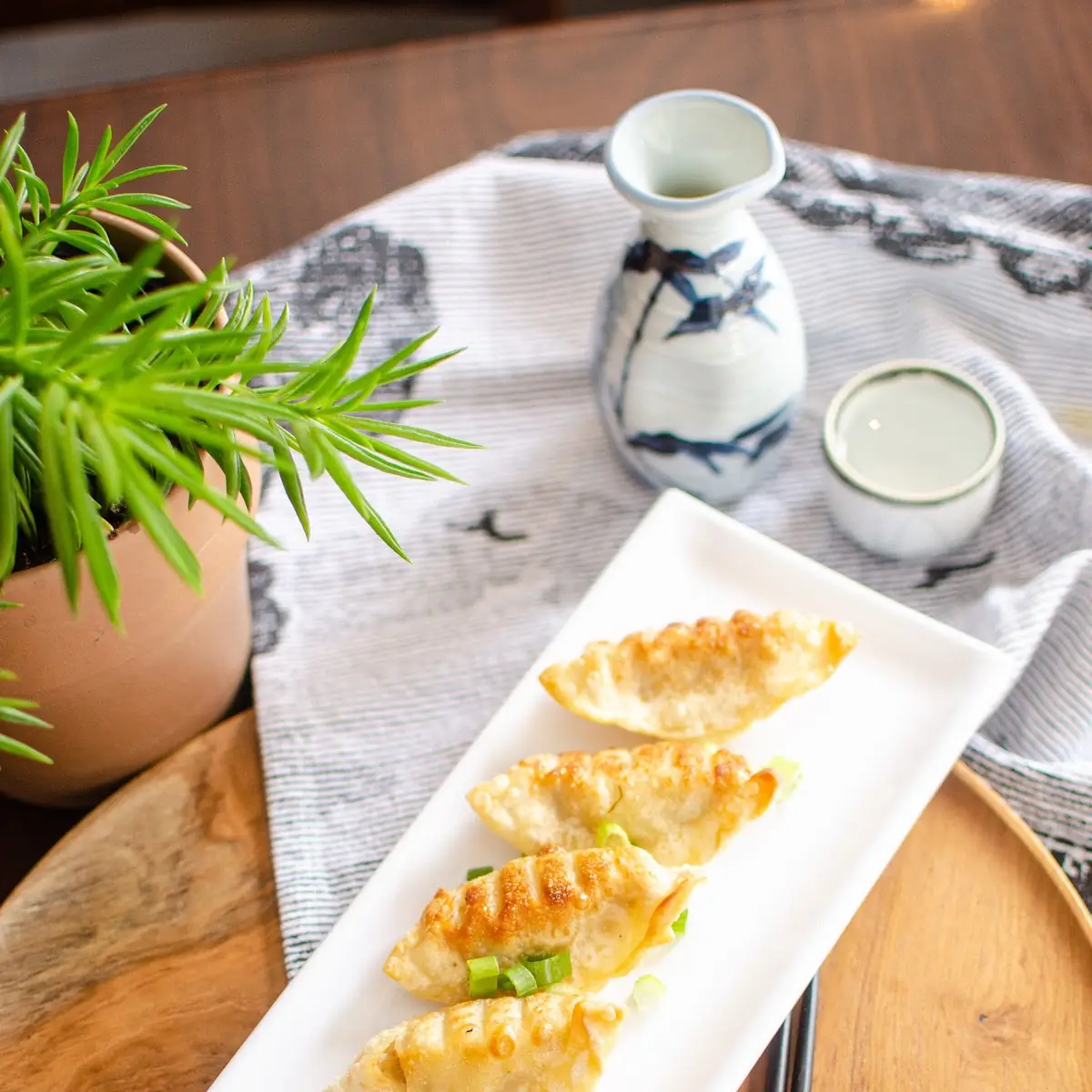 Gyoza