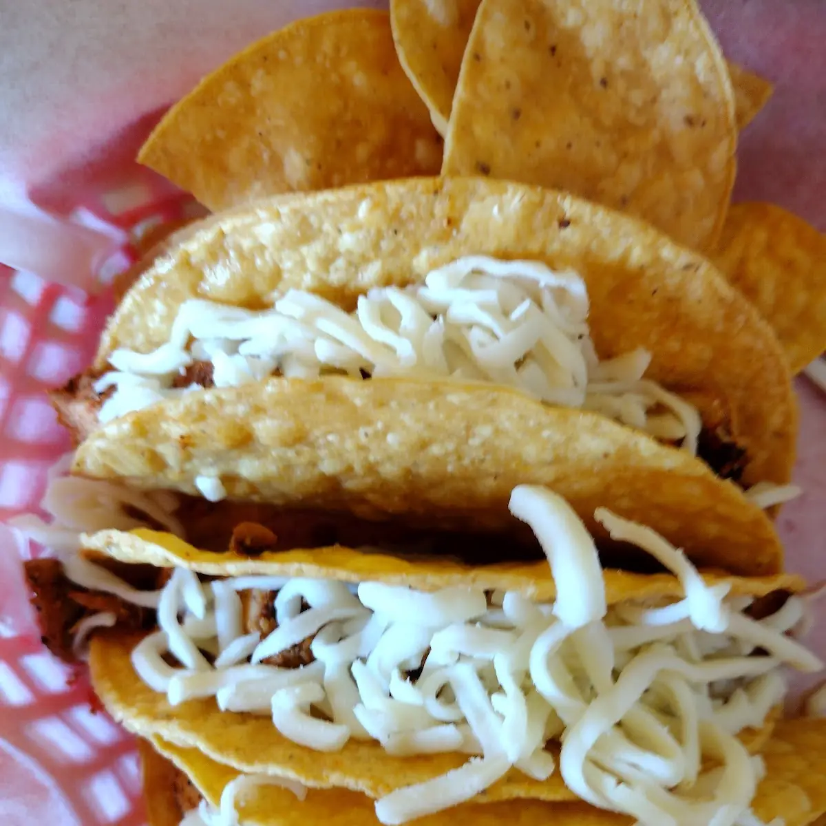 Hard Tacos