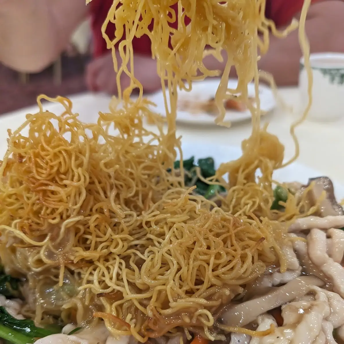 Pan Fried Noodles