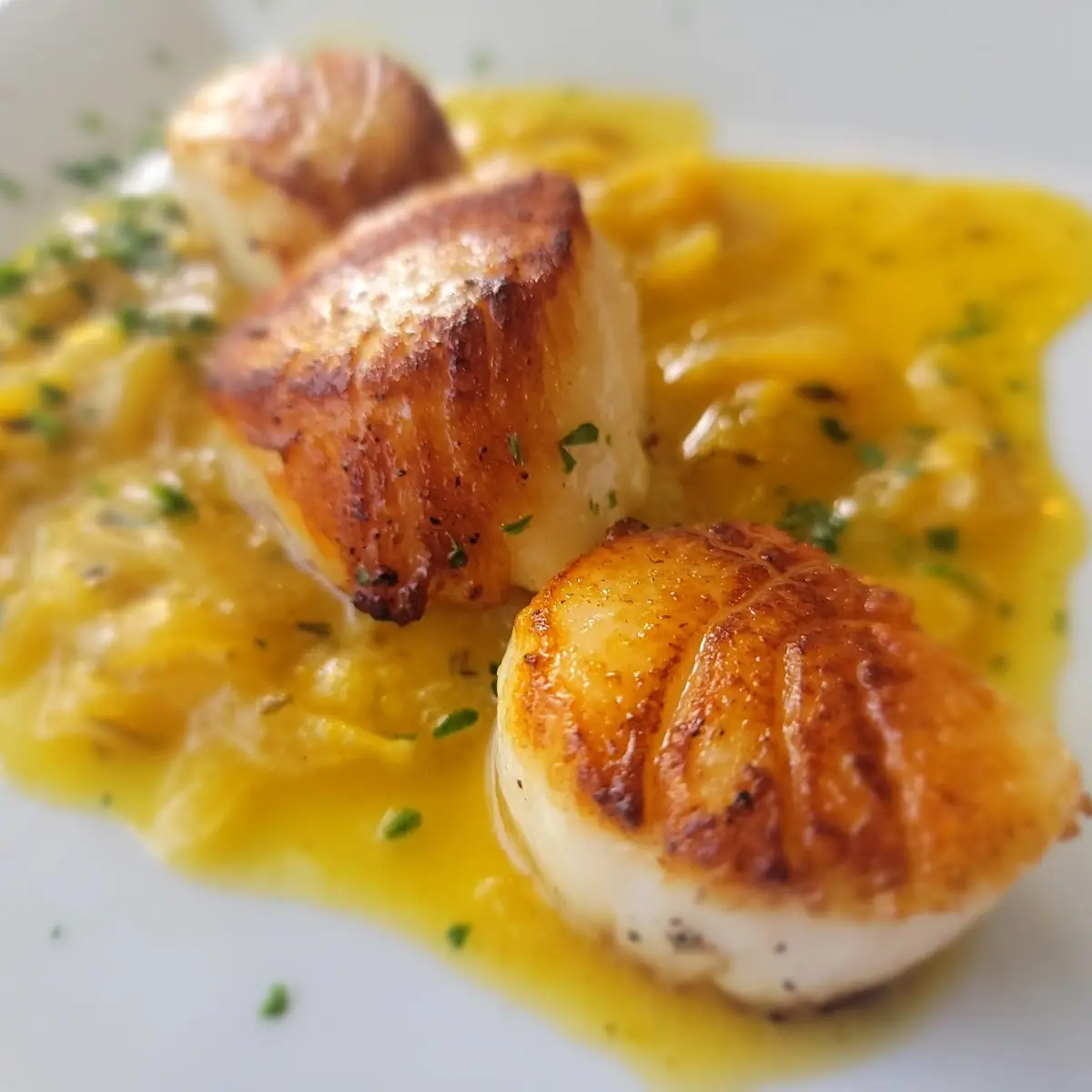 Seared Sea Scallops