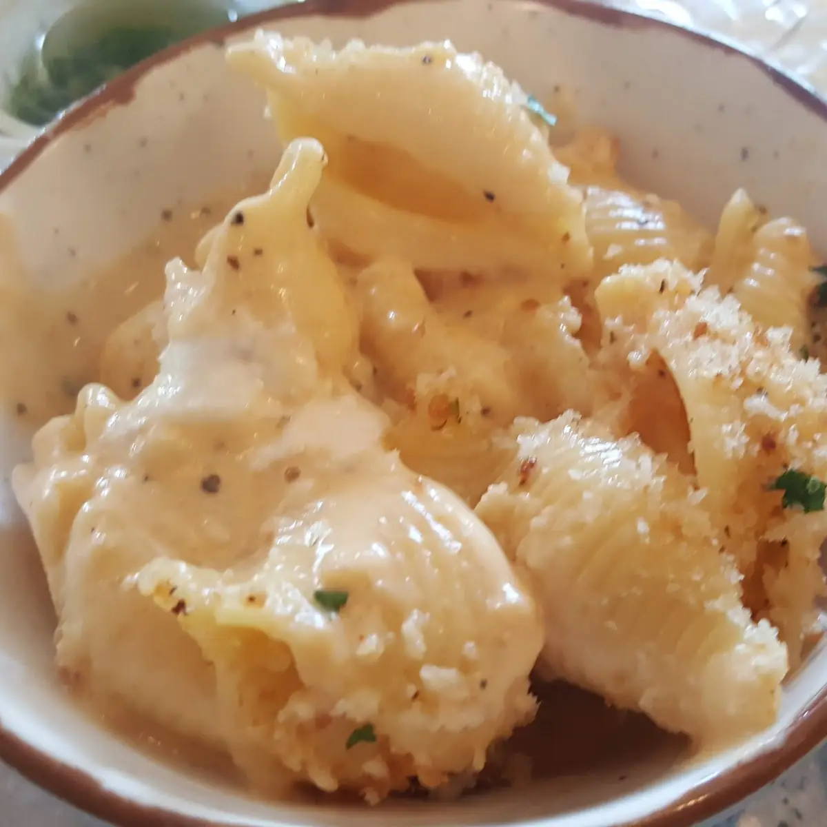 Greek Yogurt Mac and Cheese