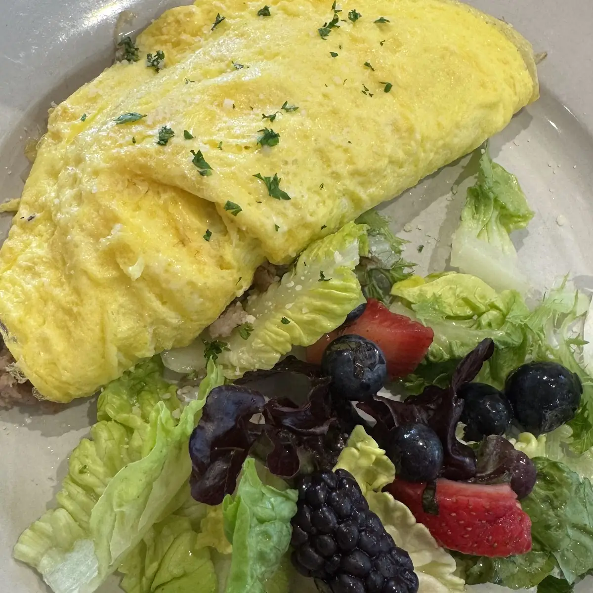Cheese Omelette