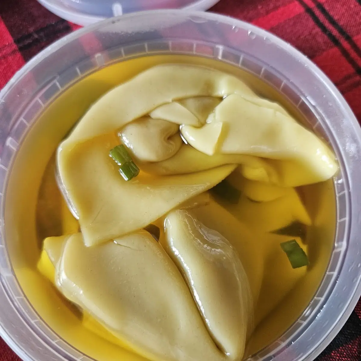 Wonton Soup