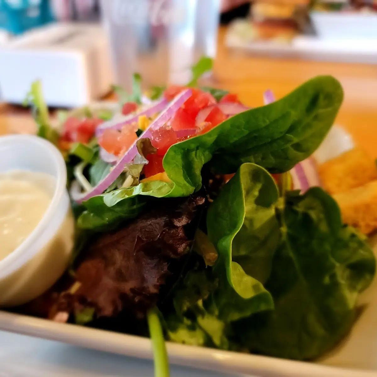 Garden Salad