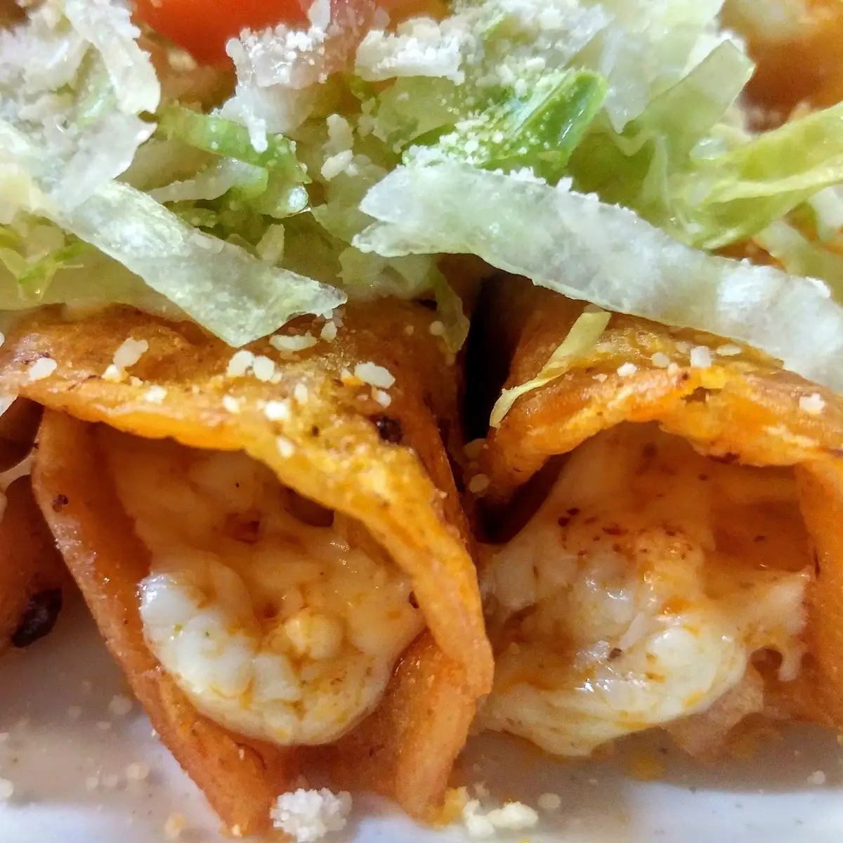 Cheese Enchiladas