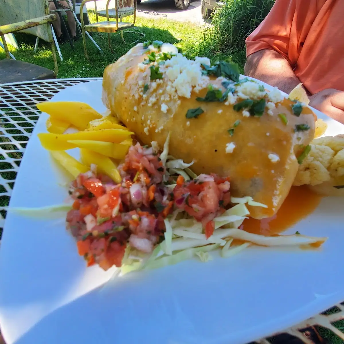 Wet Burrito Plate