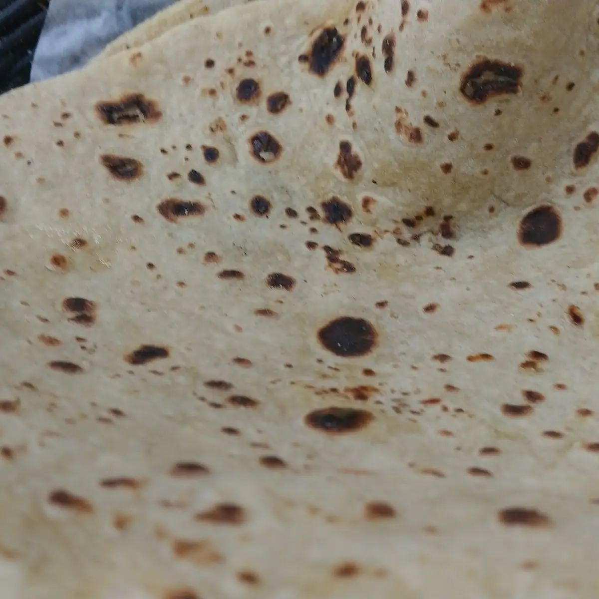 Toasted Roti Bread