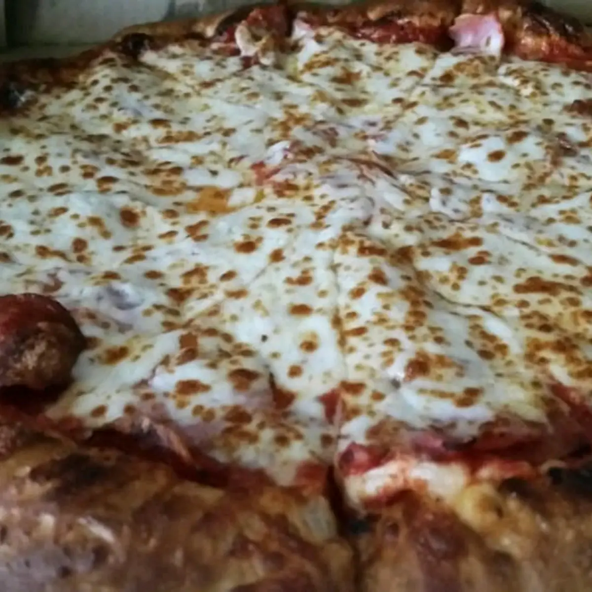 Pepperoni Ham and Extra Cheese Pizza