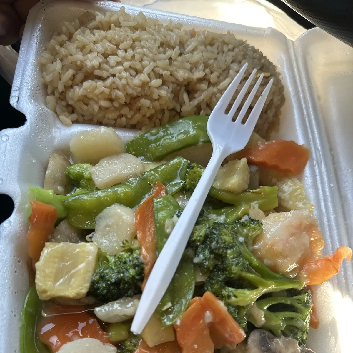 Brown Rice