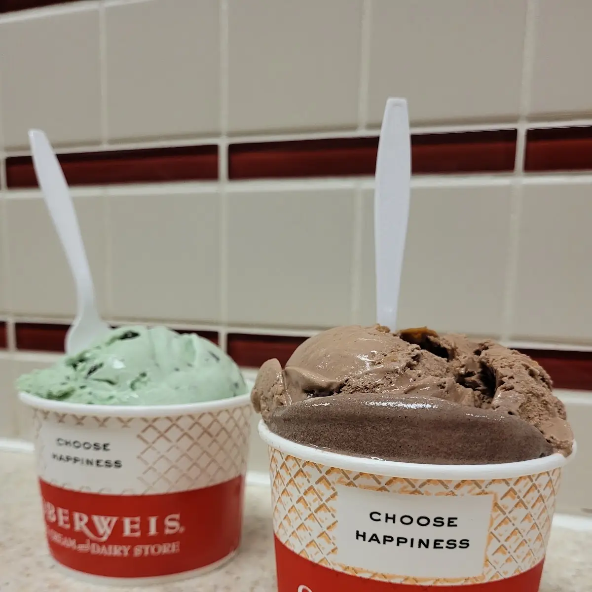 Peanut Chocolate and Mint Chocolate Ice Cream
