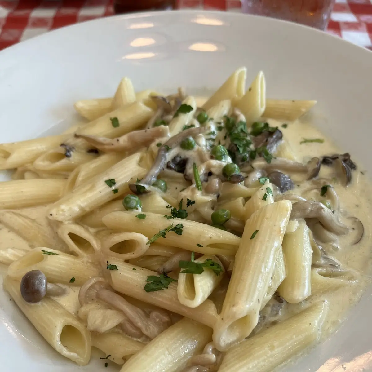 Alfredo Sauce Pasta
