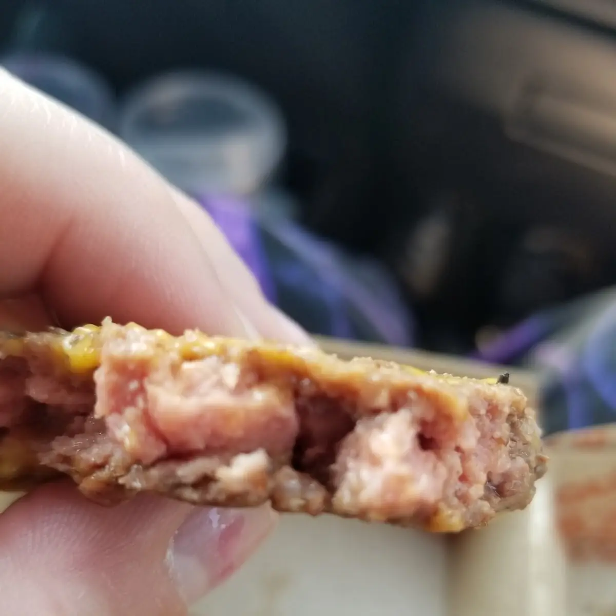 Raw Burger Patty