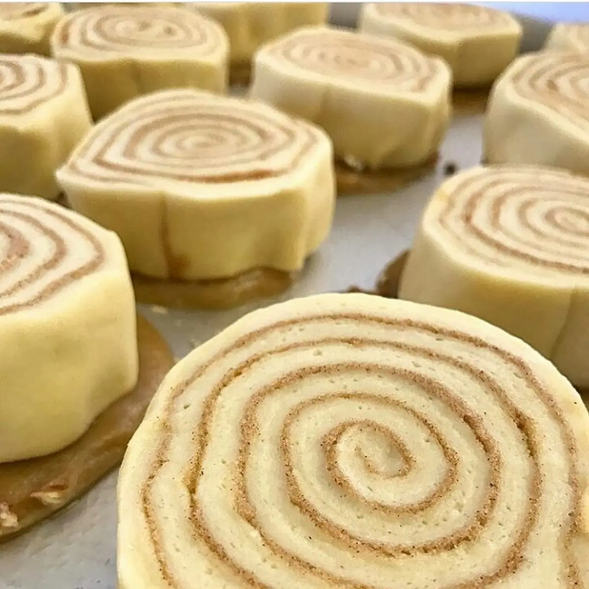 Cinnamon Roll