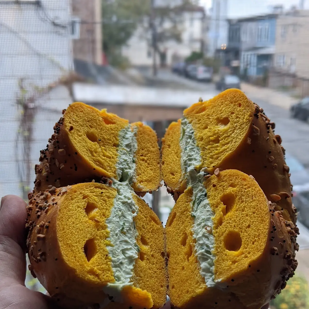 Egg Everything Bagel with Cream Cheese