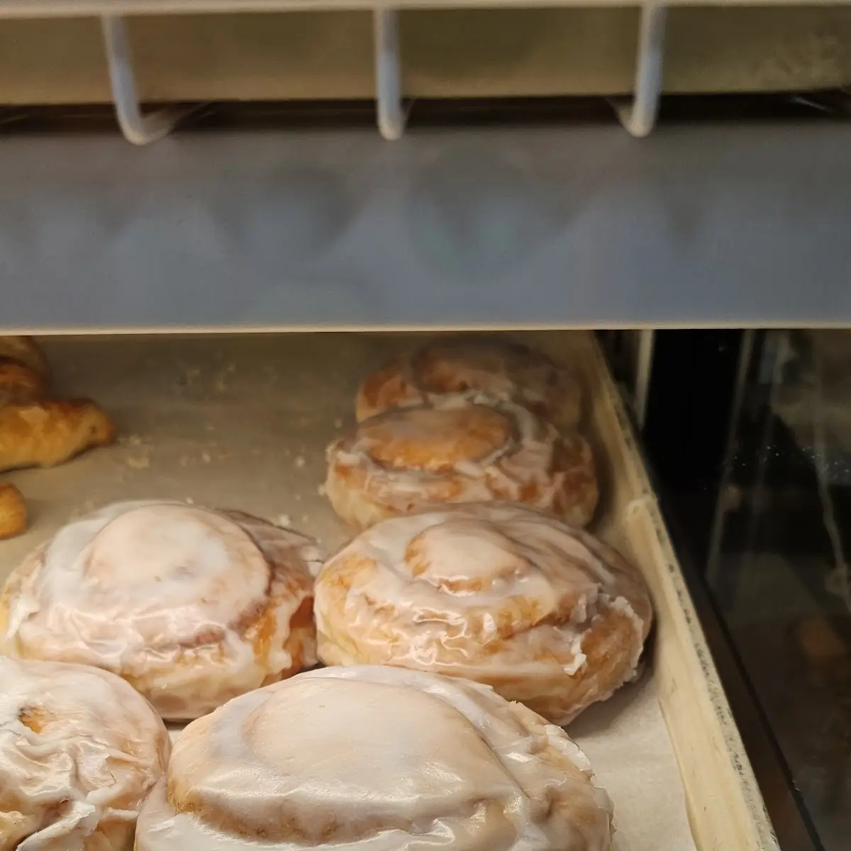 Cinnamon Roll
