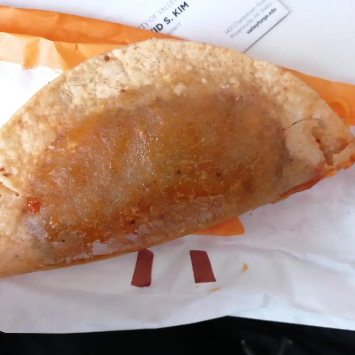 Nasty Soggy Dog Beef Taco