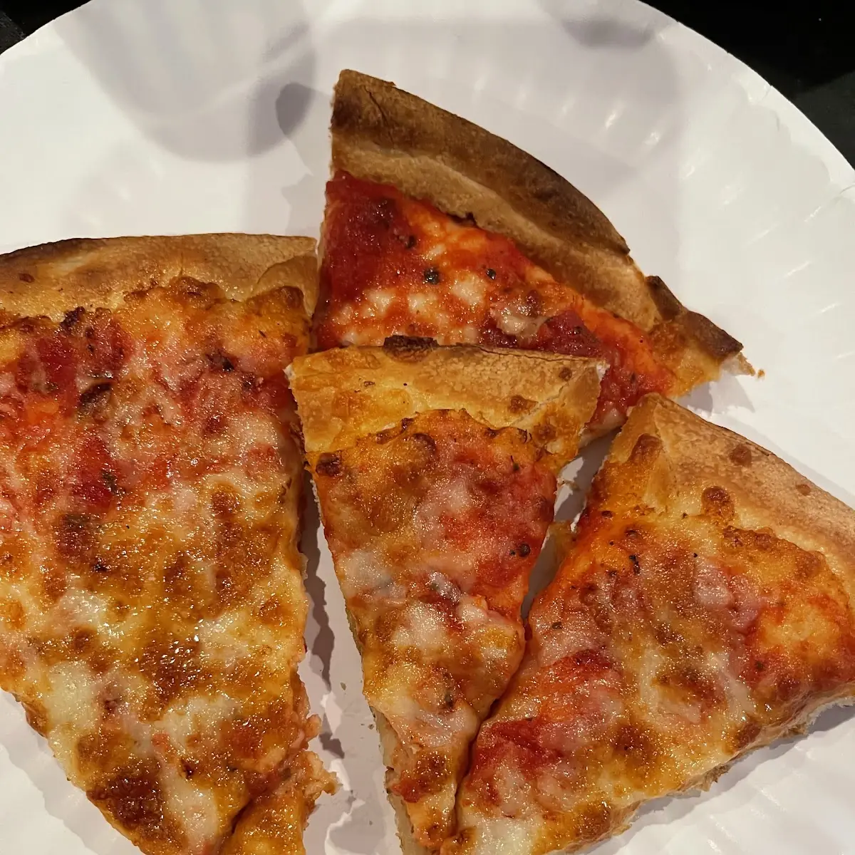 Plain Cheese Pizza