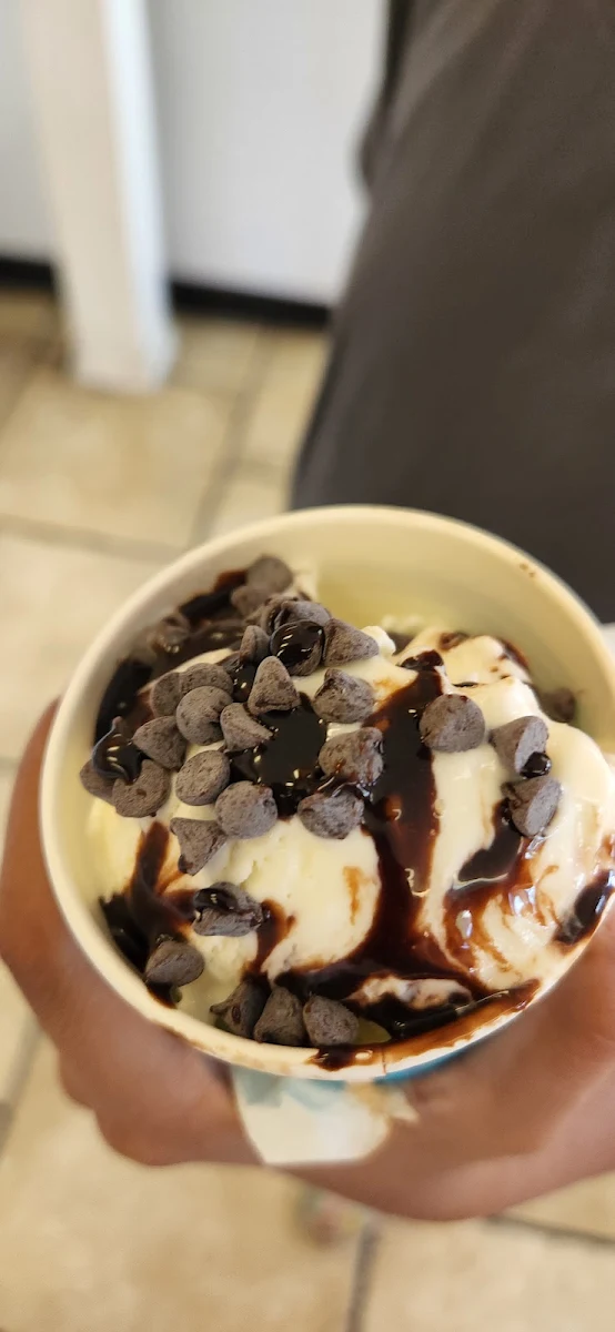 Vanilla Ice Cream with Chocolate Chips