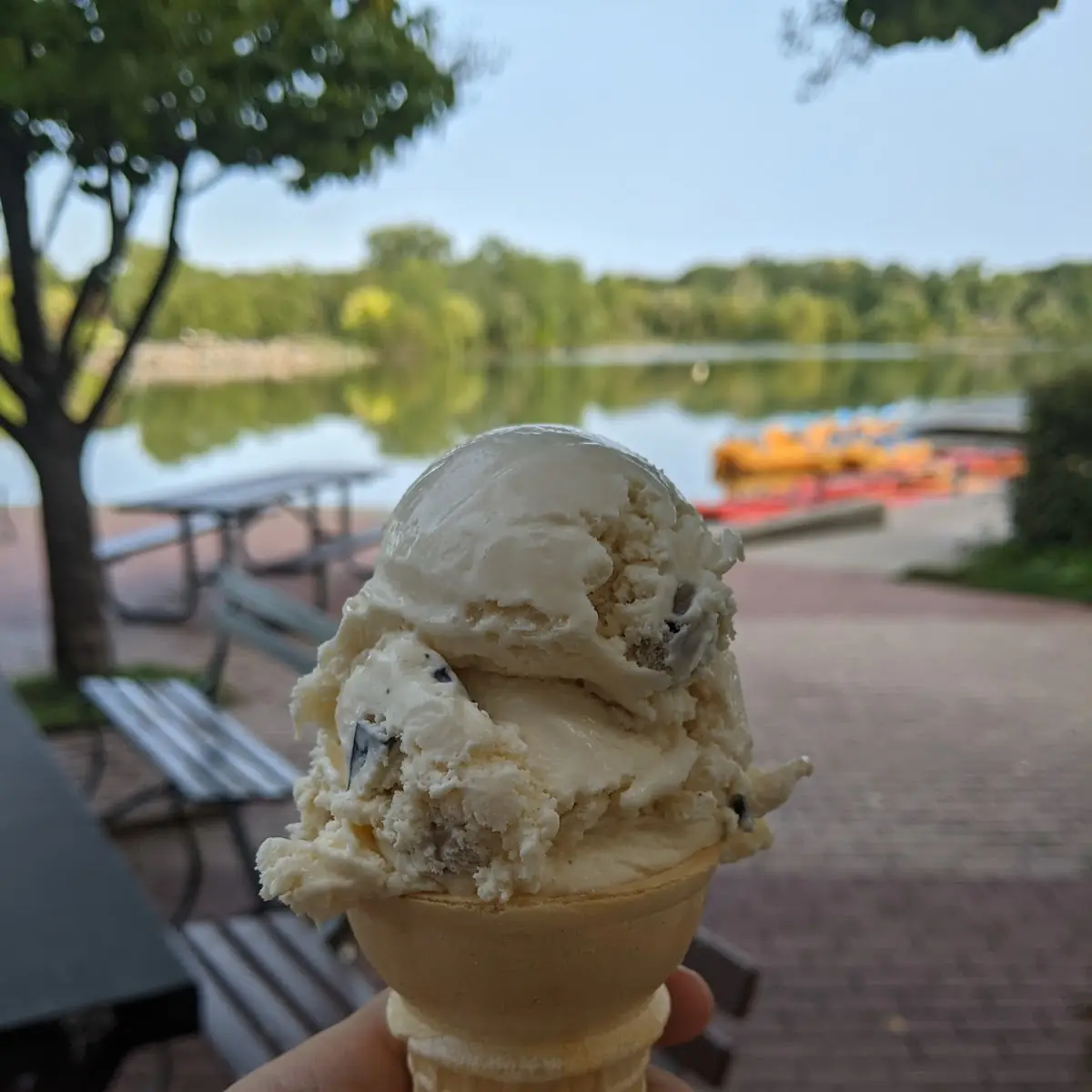 Chocolate Chip Cookie Dough Ice Cream