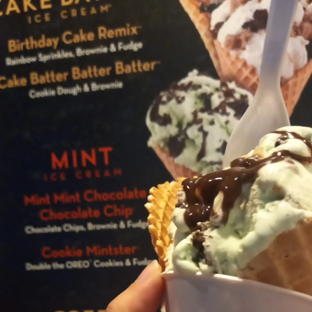 Mint Mint Chocolate Chocolate Chip