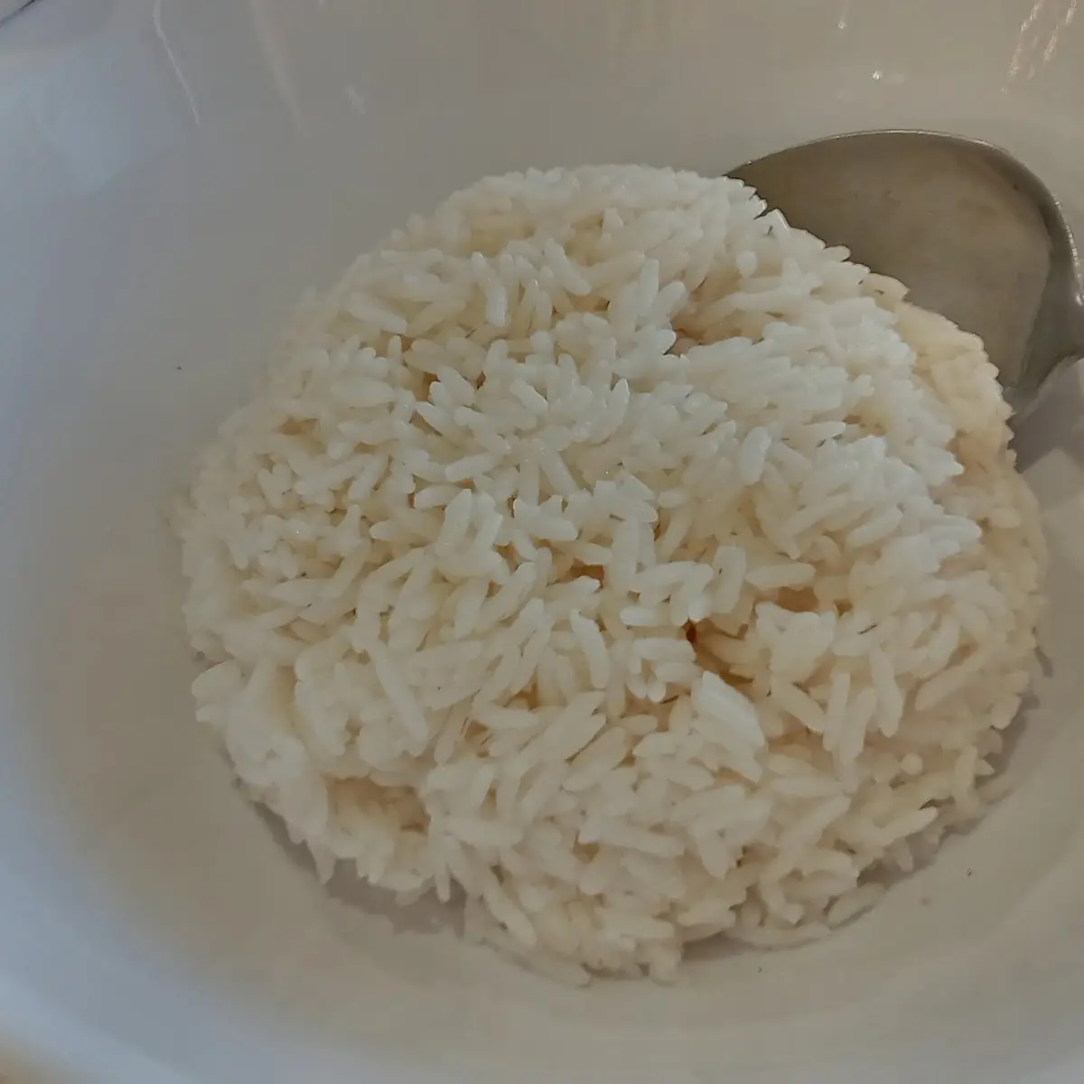 White Rice
