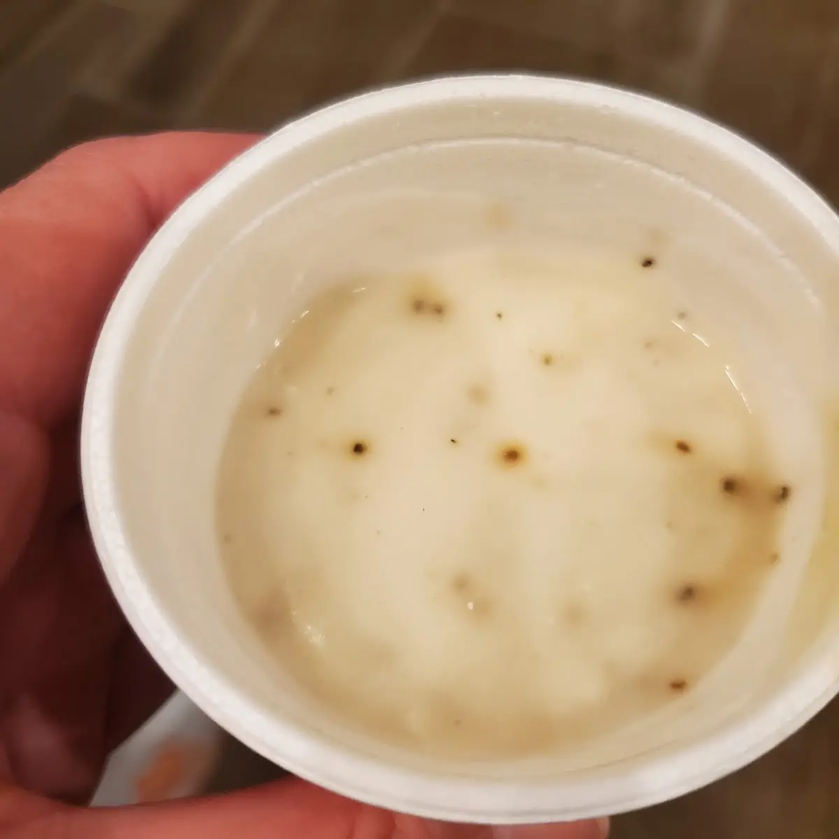 Clam Chowder