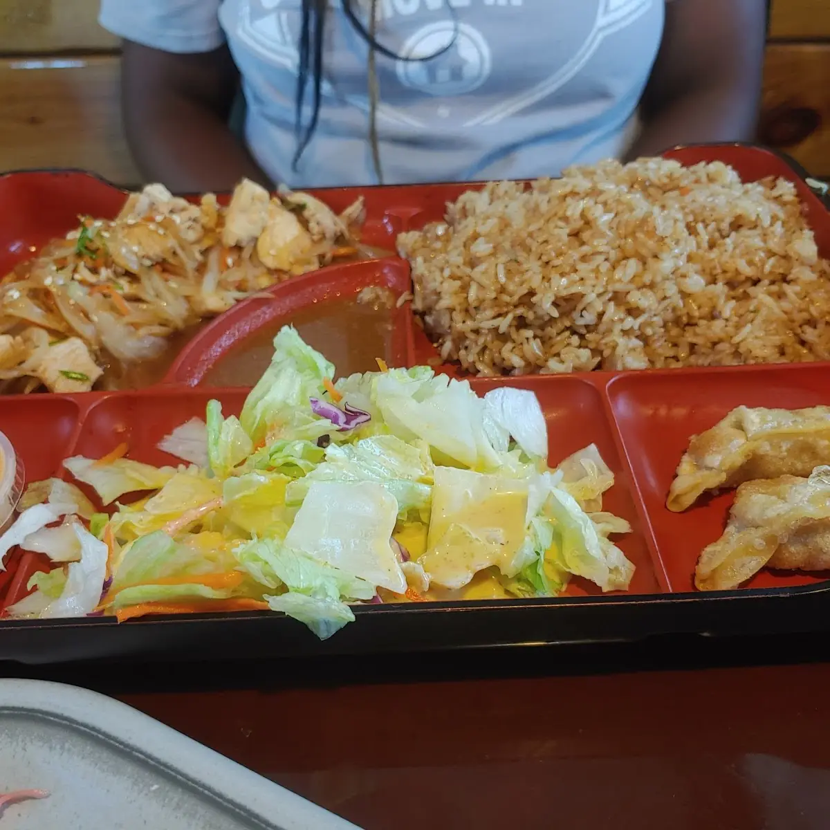 Steak Hibachi Plate