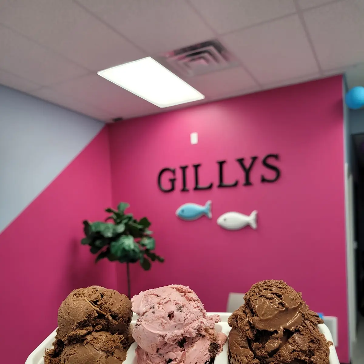 Chocolate Ice Cream