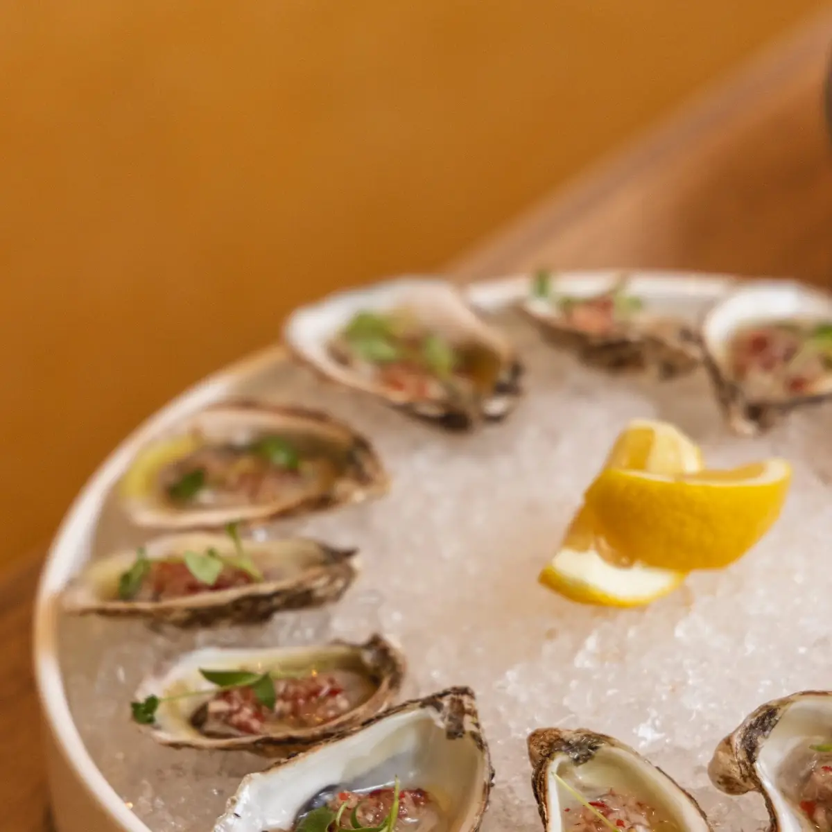 Half Dozen Oysters