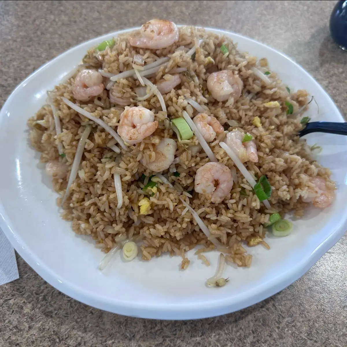 Chicken and Shrimp Fried Rice
