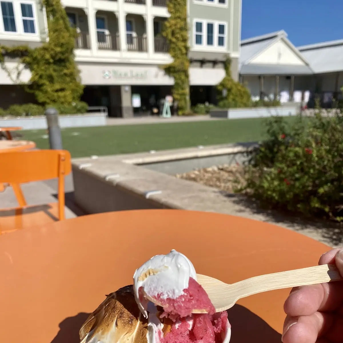 Gelato