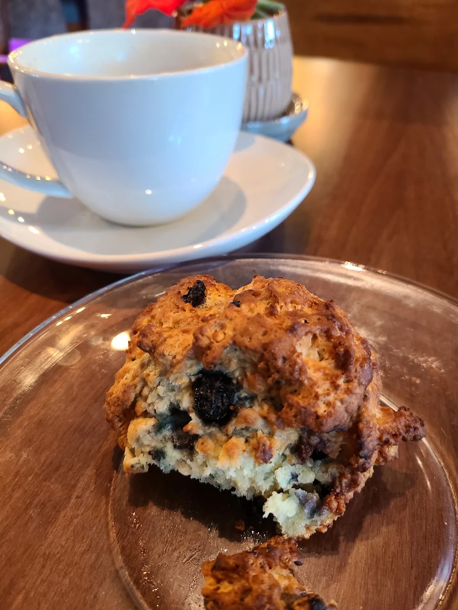 Blueberry Muffin