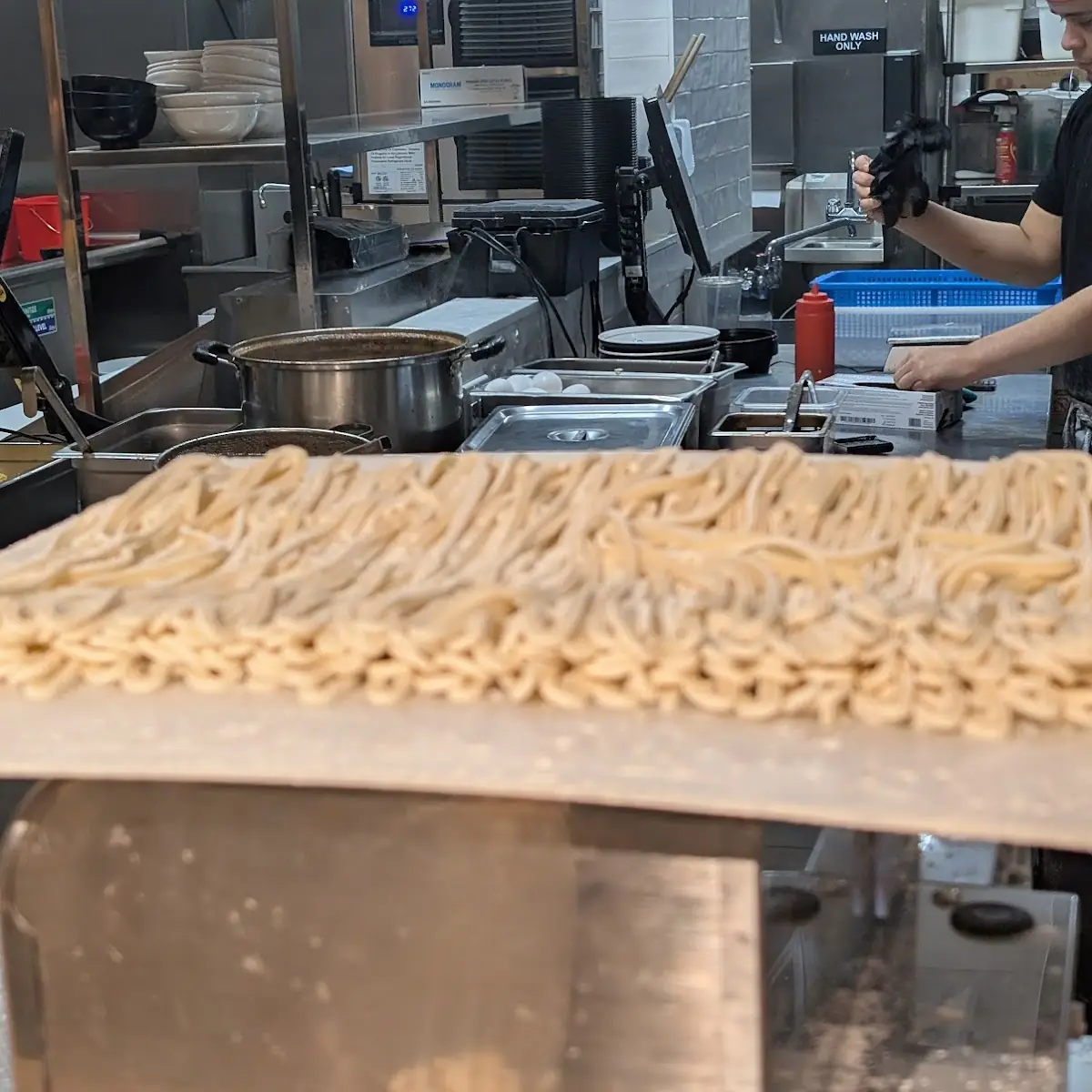 Freshly Made Udon Noodles
