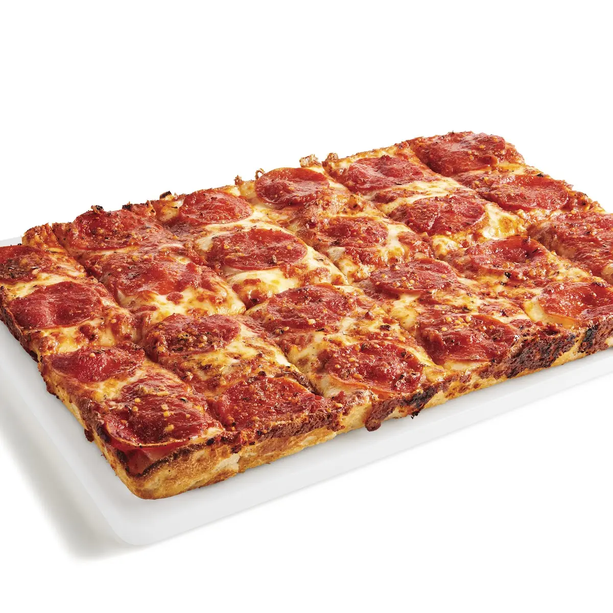 Large Specialty Large One-Topping & Cheesy Garlic Bread