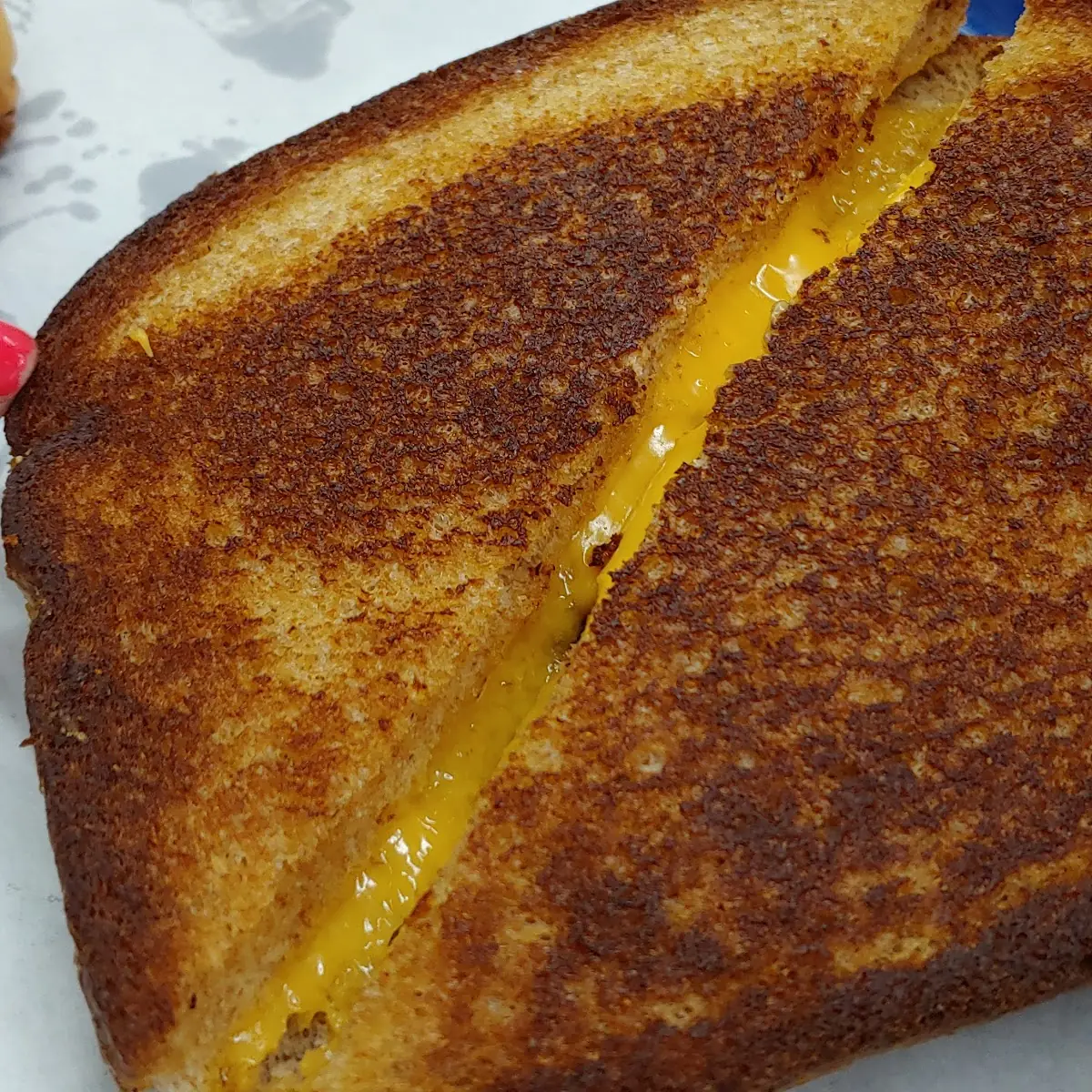 Grilled Cheese Sandwich