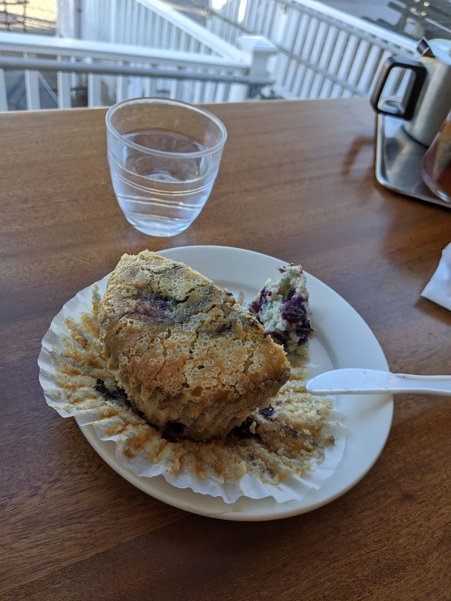 Blueberry Muffin