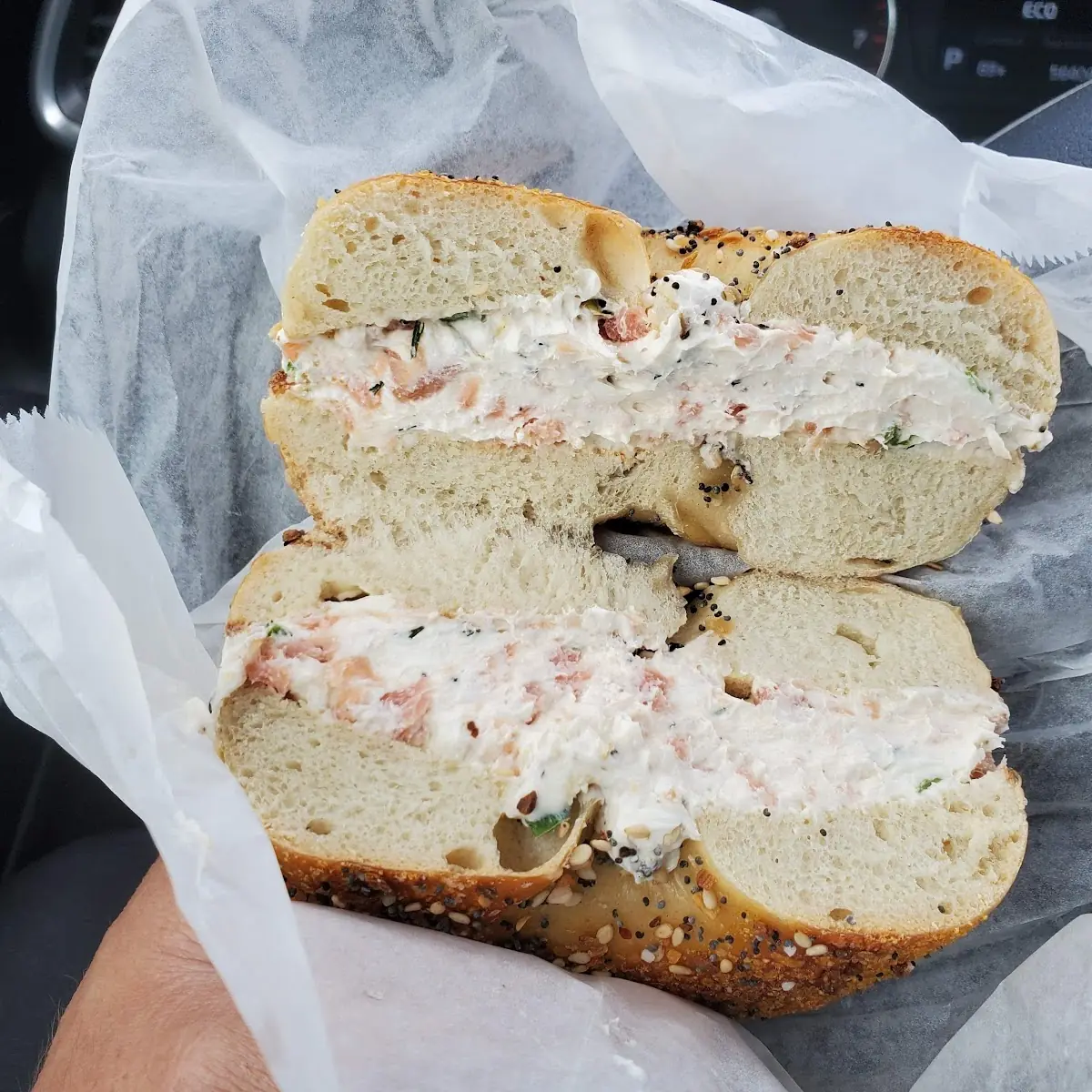 Everything Bagel Toasted with New York Spread