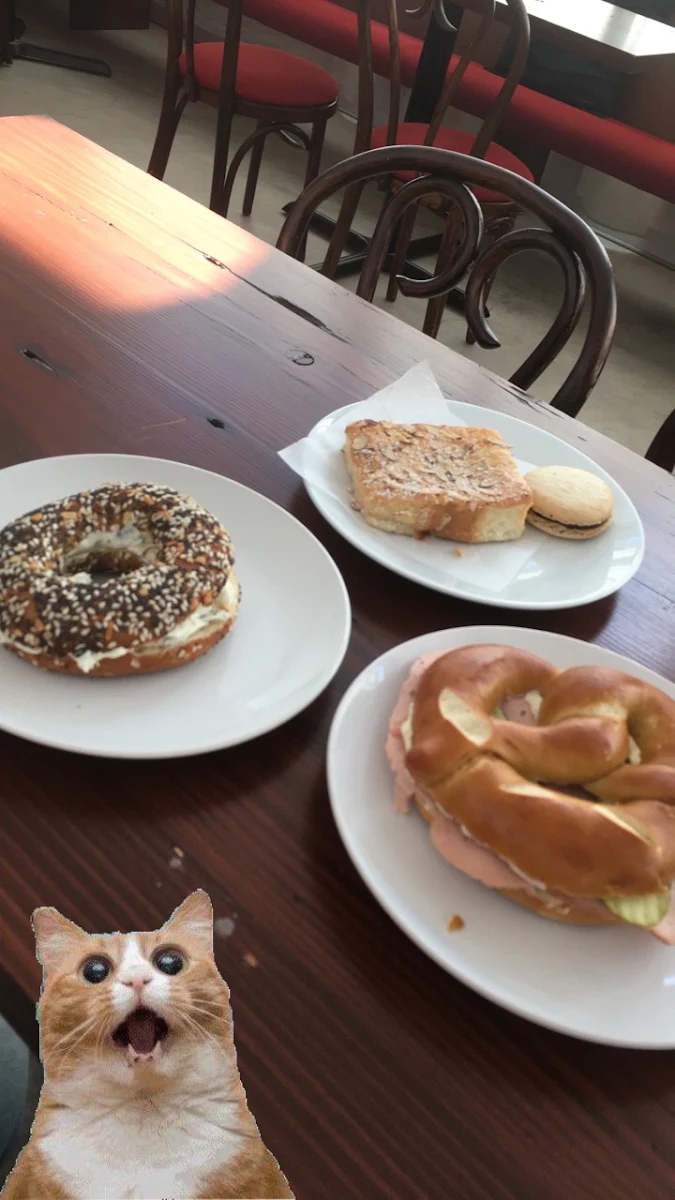 Bagel