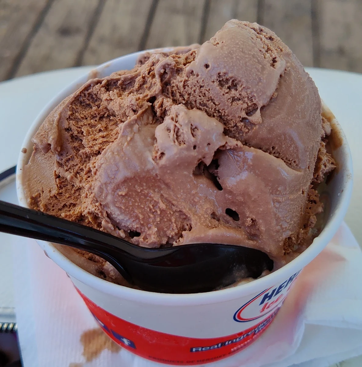 Chocolate and Butter Pecan Ice Cream