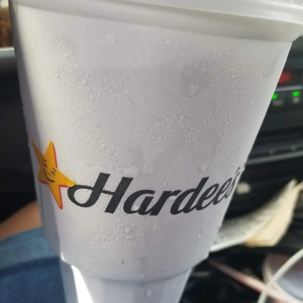 Hardee's Original Bag