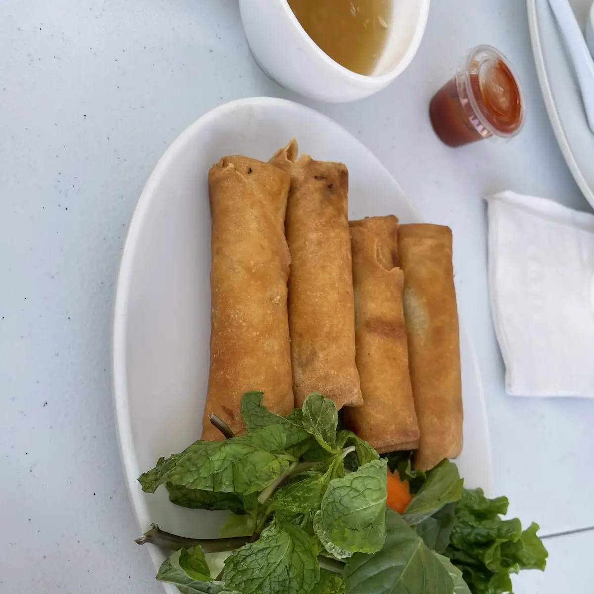 Tofu Spring Roll