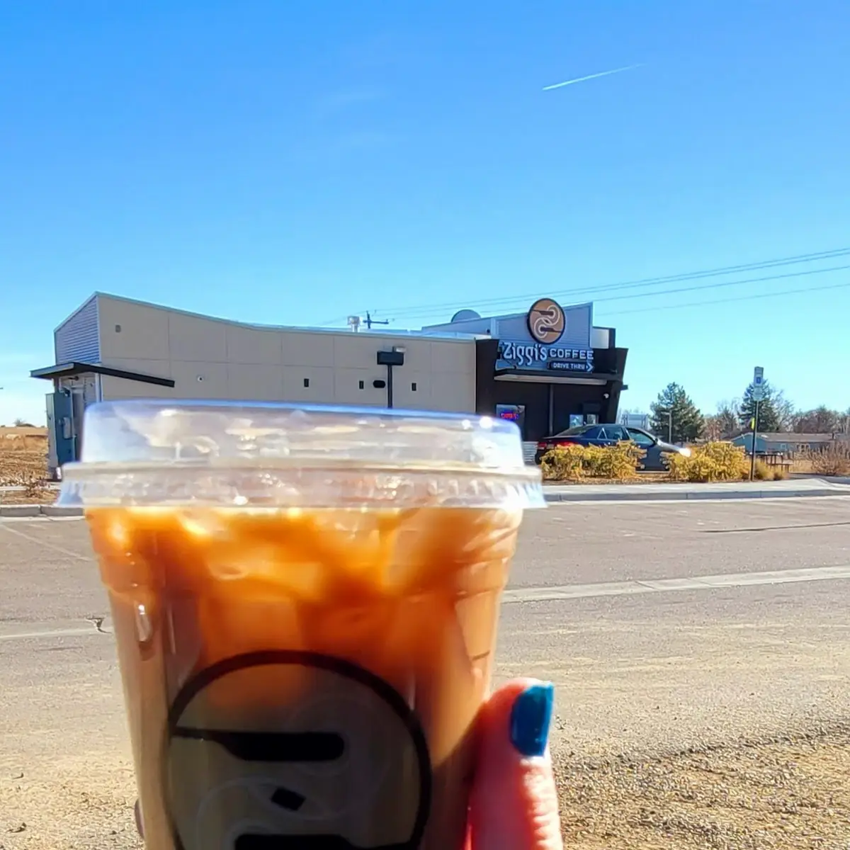 Sugar-Free Iced Turtle