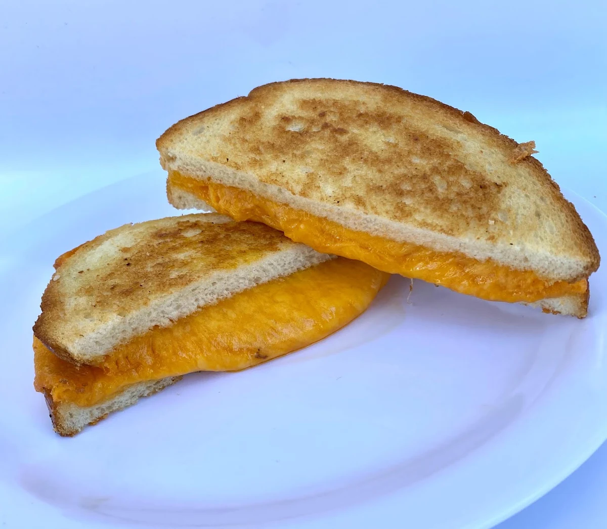 Cheese Sandwich