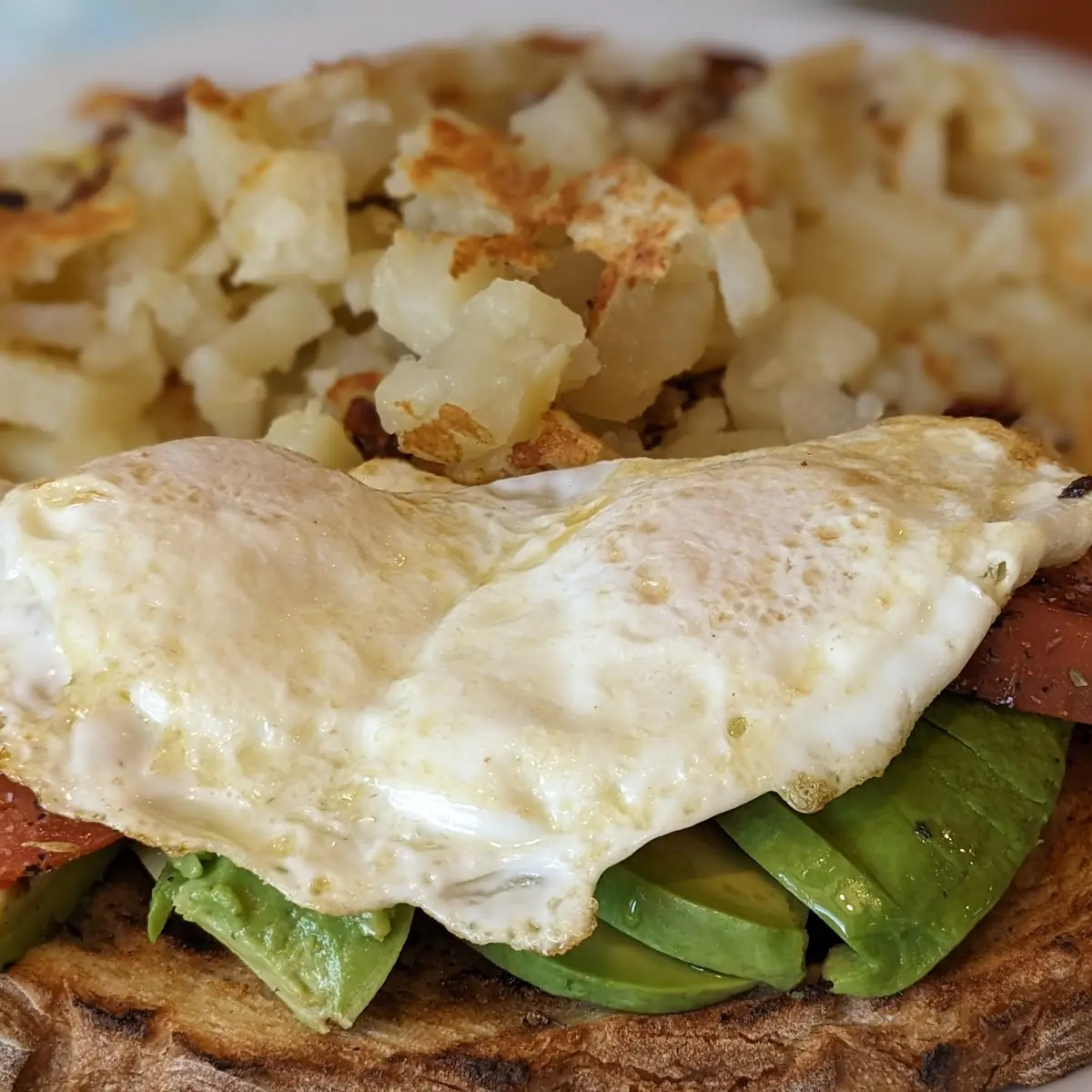Avocado Turkey Club House