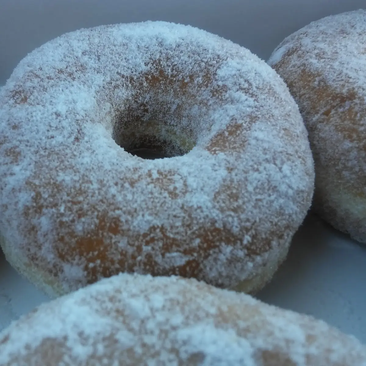 Doughnut