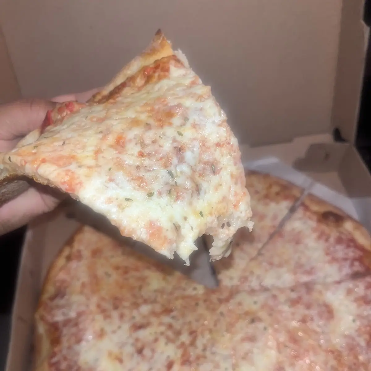 Cheese Pizza