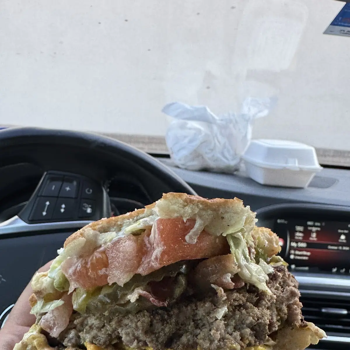 Juicy Burger Patty
